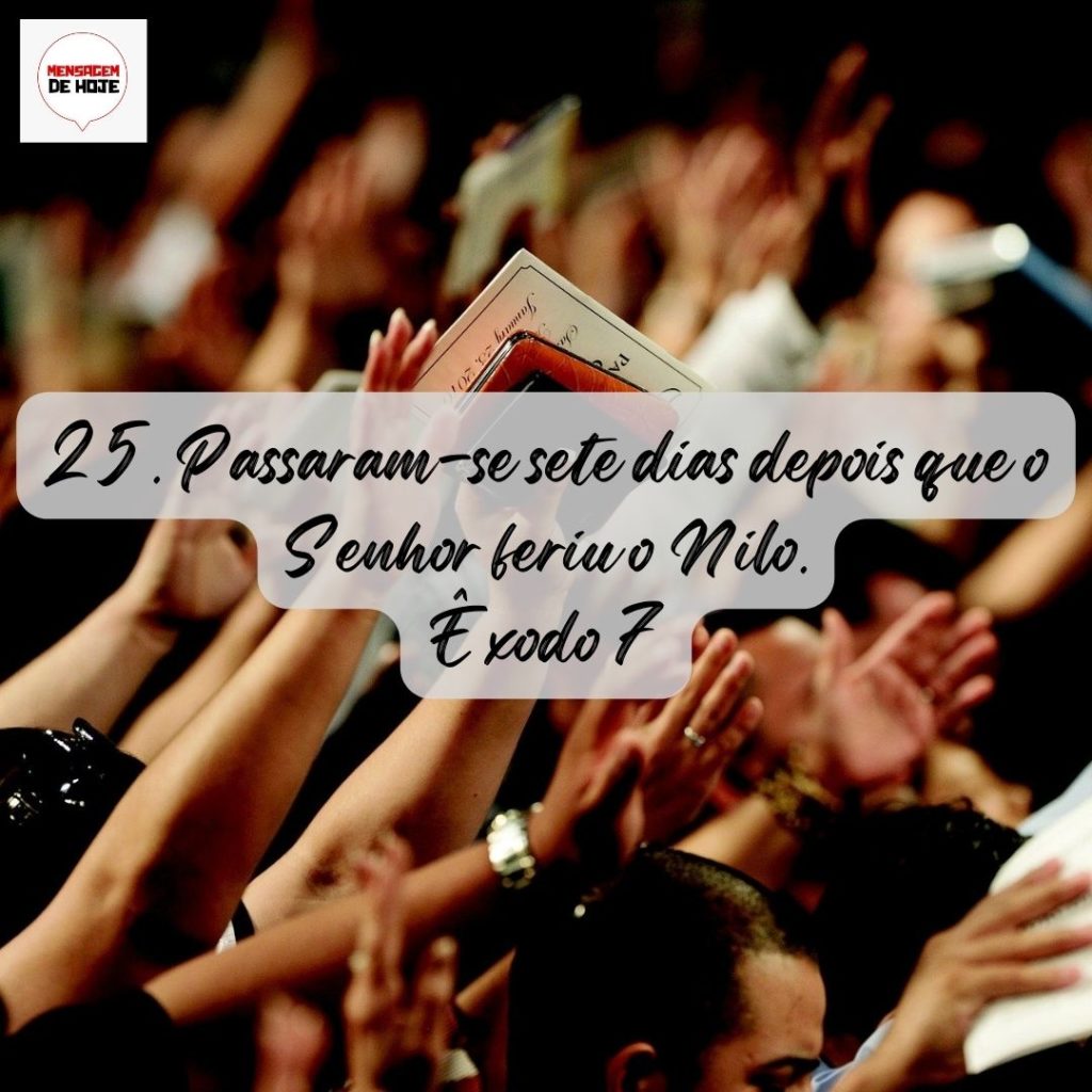Salmos 31 de Julho de 2022 7