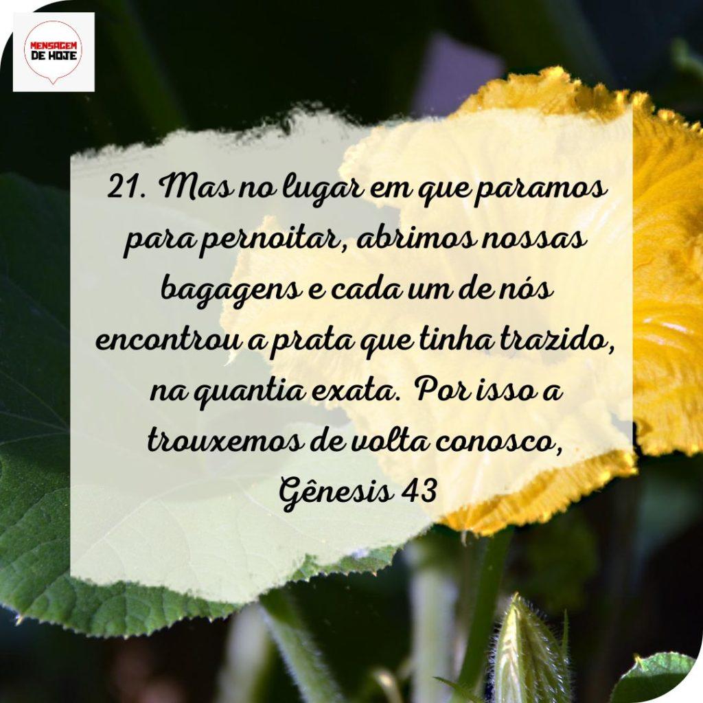 Salmos 20 de Julho de 2022 9