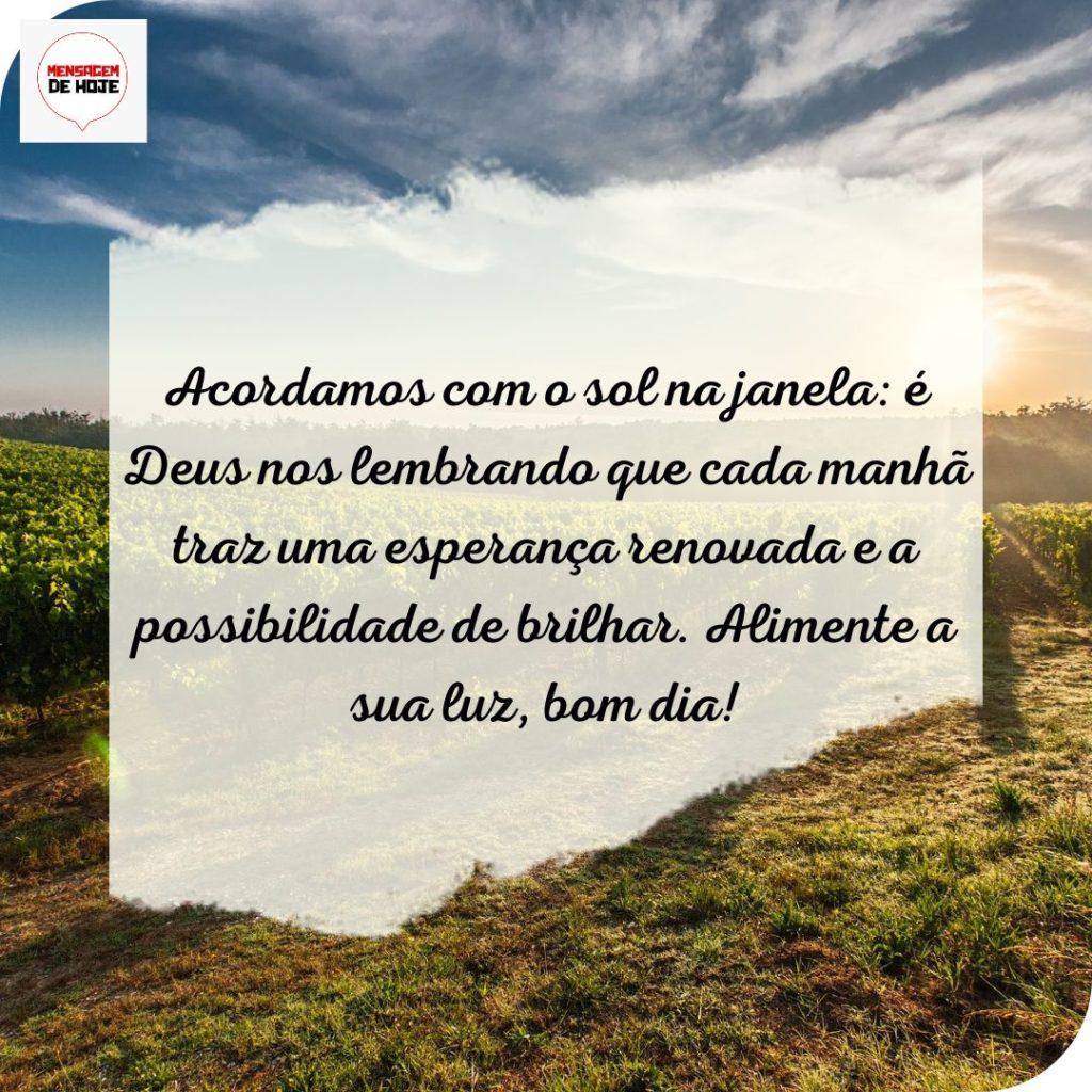 Bom Dia 25 de Julho de 2022 11