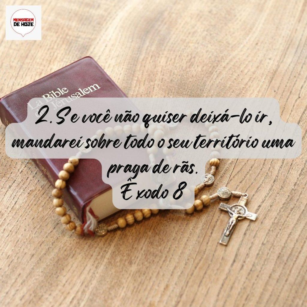 Salmos 31 de Julho de 2022 11
