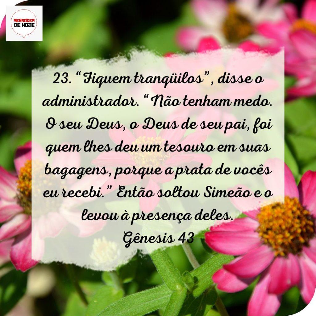 Salmos 20 de Julho de 2022 13