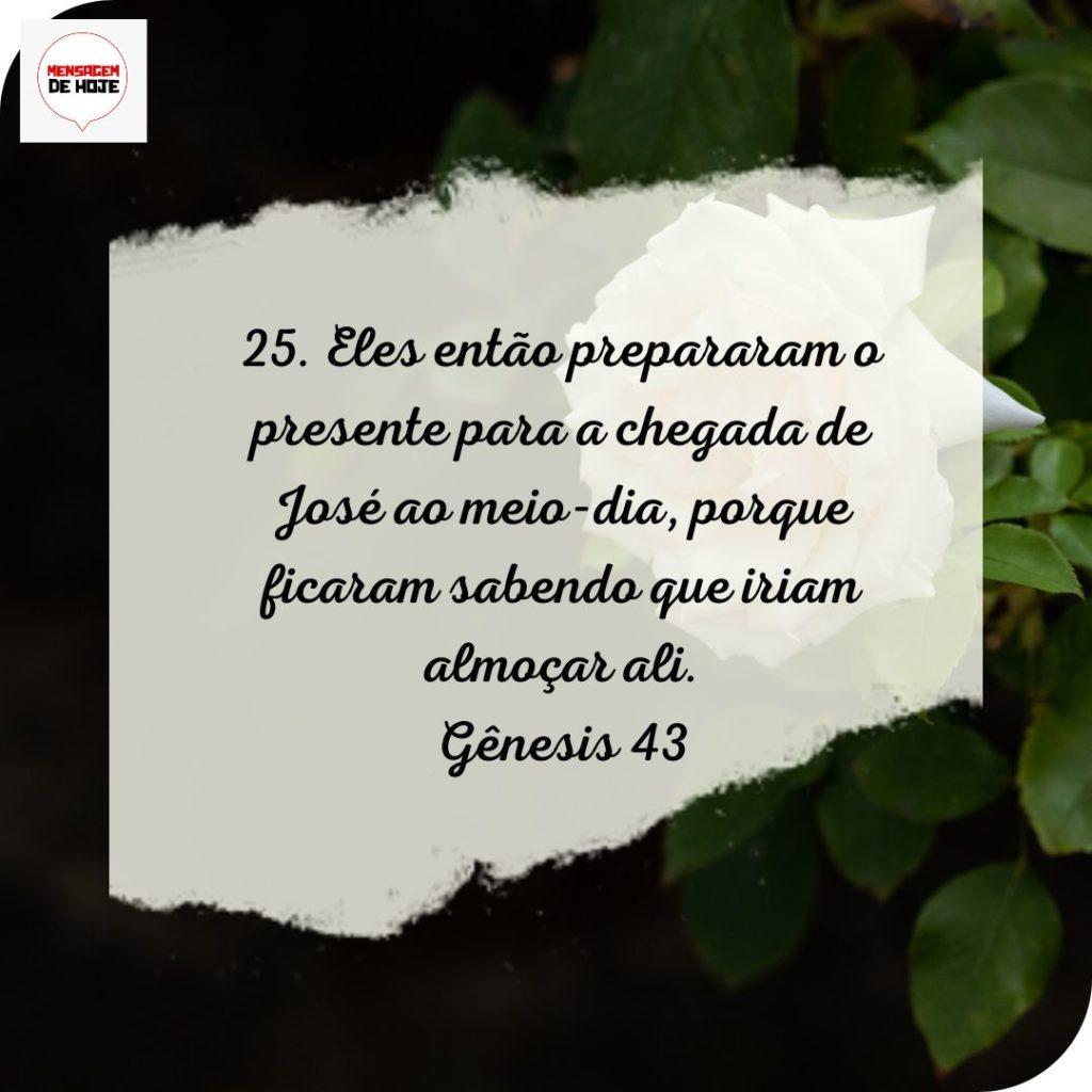 Salmos 20 de Julho de 2022 17