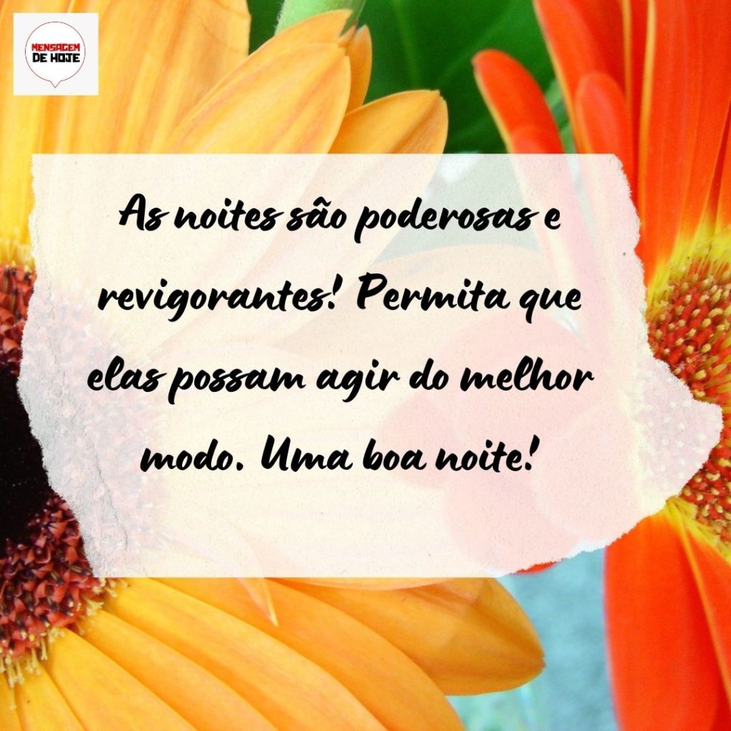 Boa Noite 04 de Agosto de 2022 3