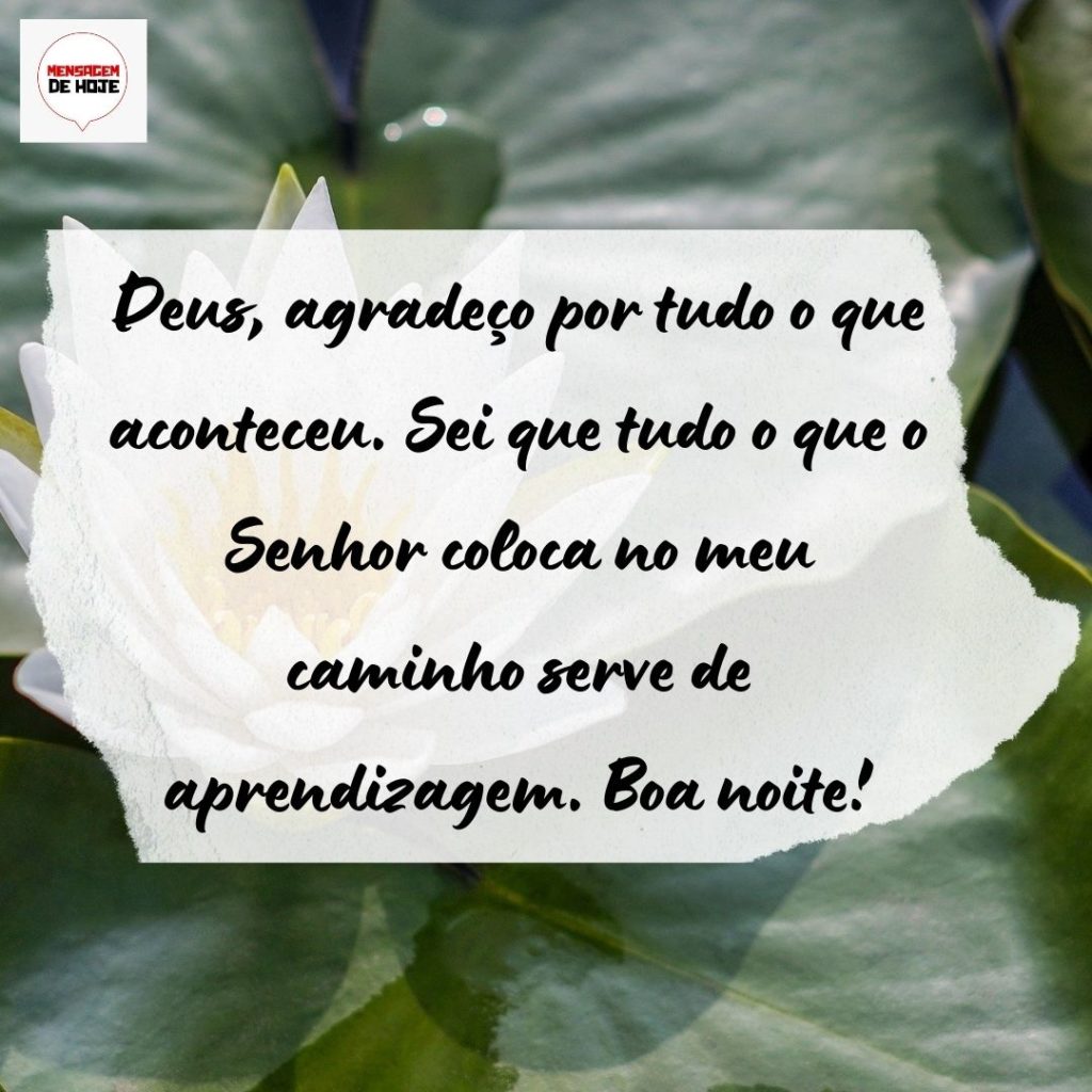 Boa Noite 05 de Agosto de 2022 13