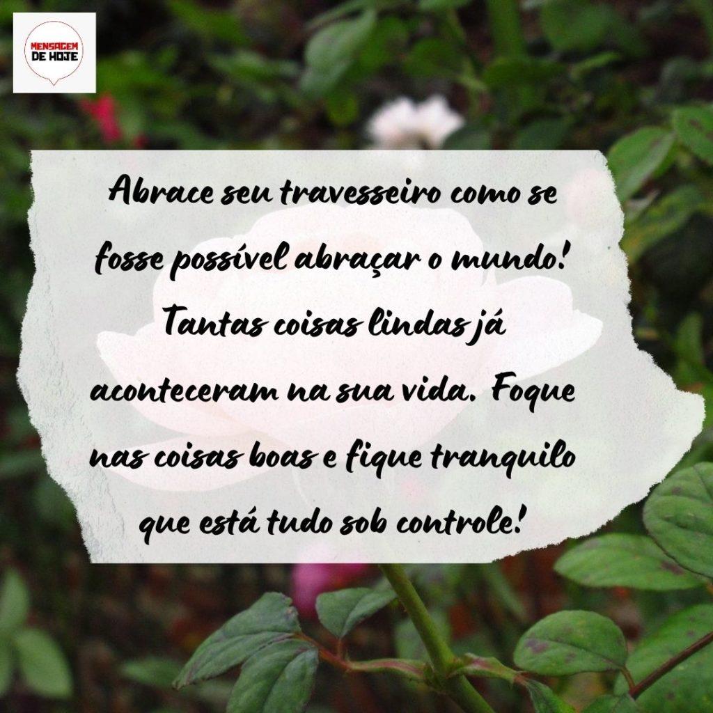 Boa Noite 05 de Agosto de 2022 17