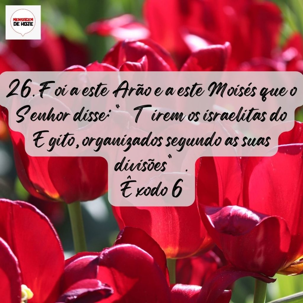 Salmos 28 de Julho de 2022 9