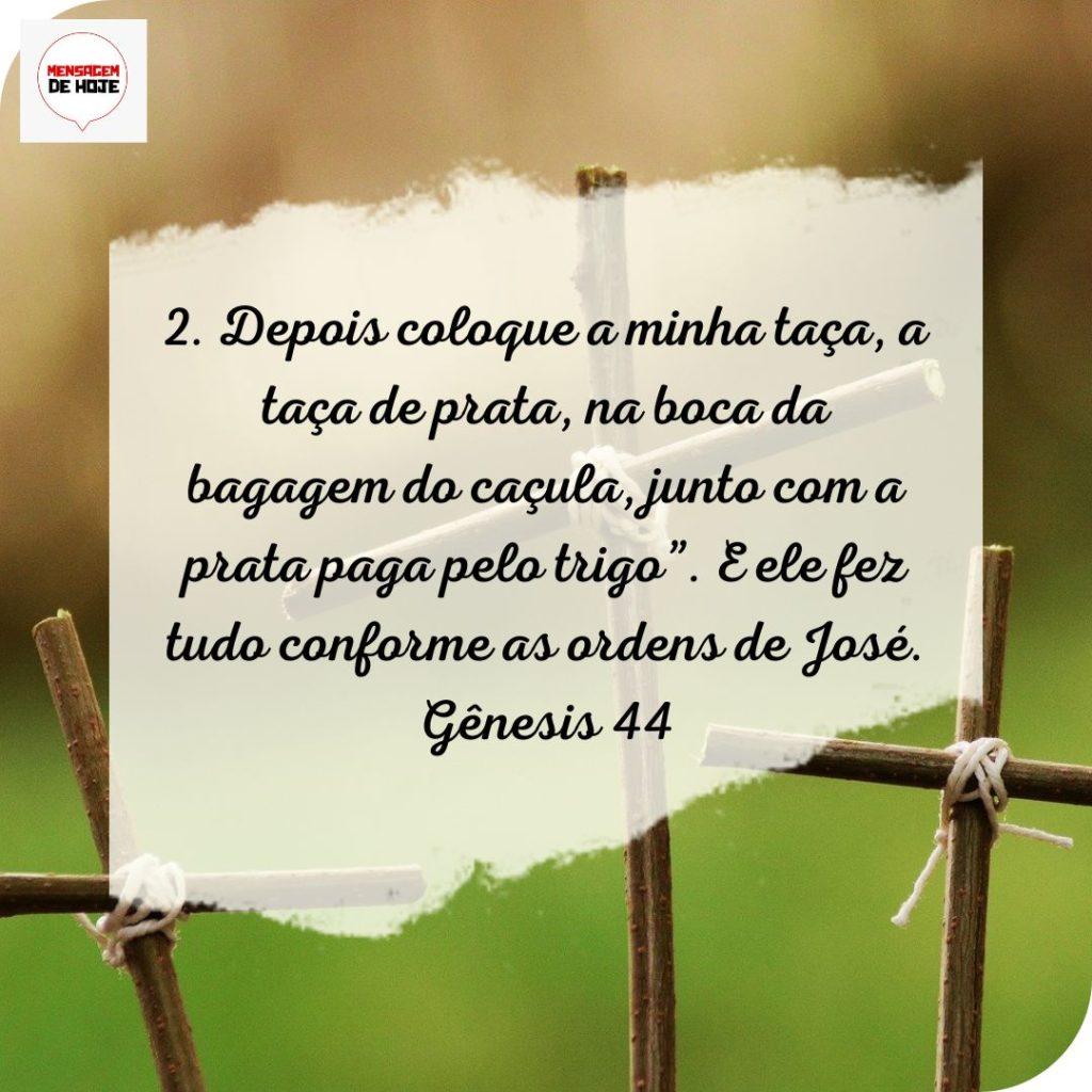 Salmos 19 de Julho de 2022 19
