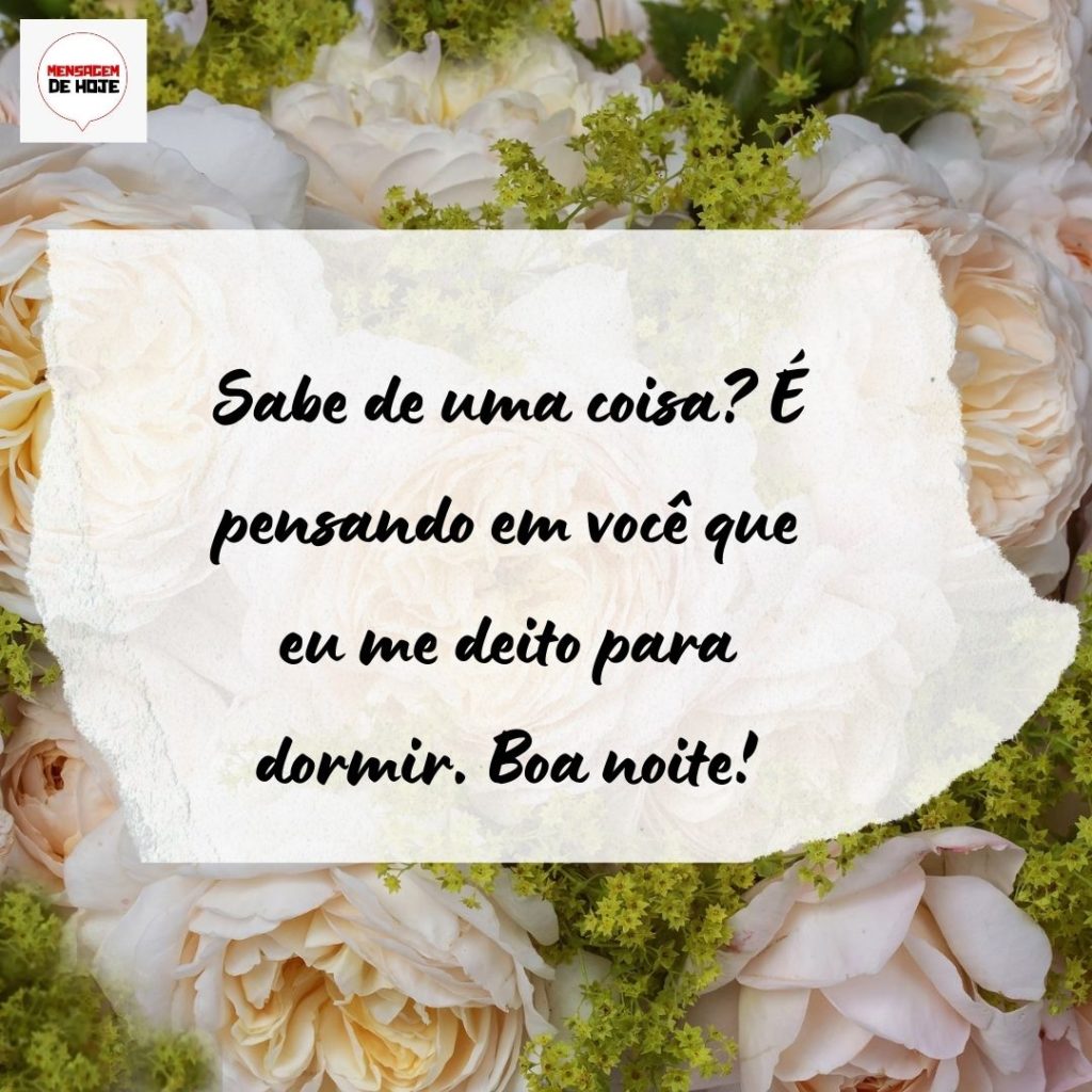 Boa Noite 06 de Agosto de 2022 5