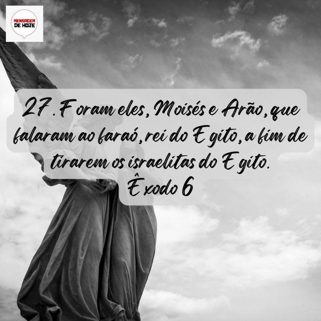 Salmos 28 de Julho de 2022 11