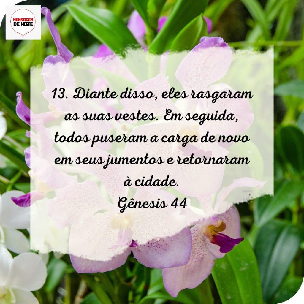 Salmos 17 de Julho de 2022 1