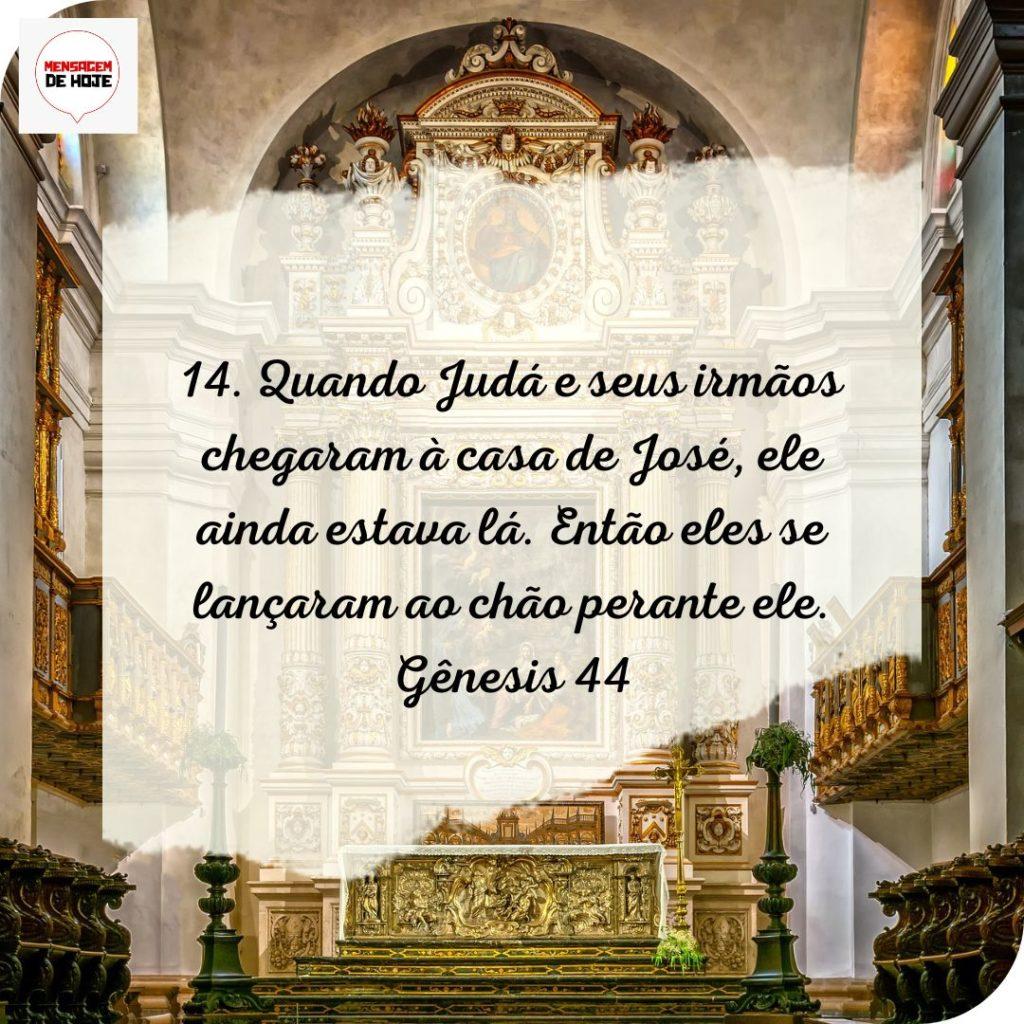 Salmos 17 de Julho de 2022 19