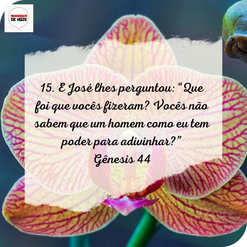 Salmos 17 de Julho de 2022 3