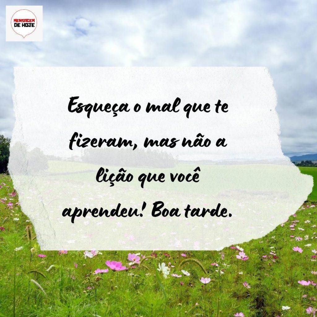 Boa Tarde 07 de Agosto de 2022 13