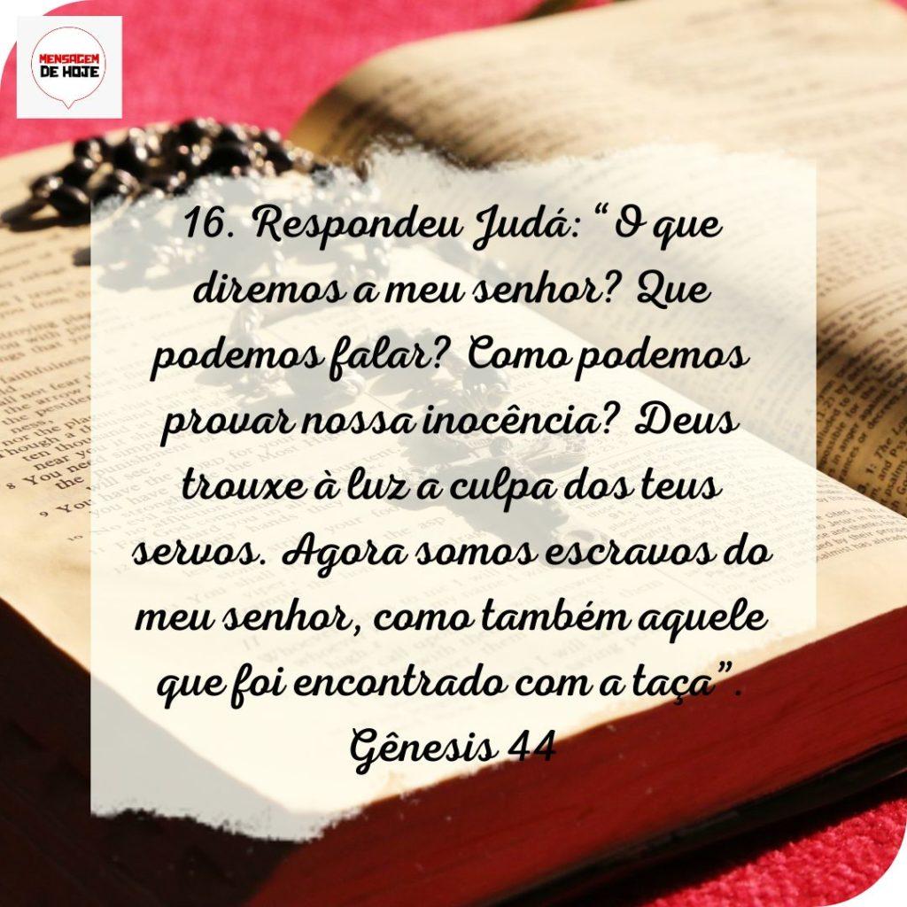 Salmos 17 de Julho de 2022 5
