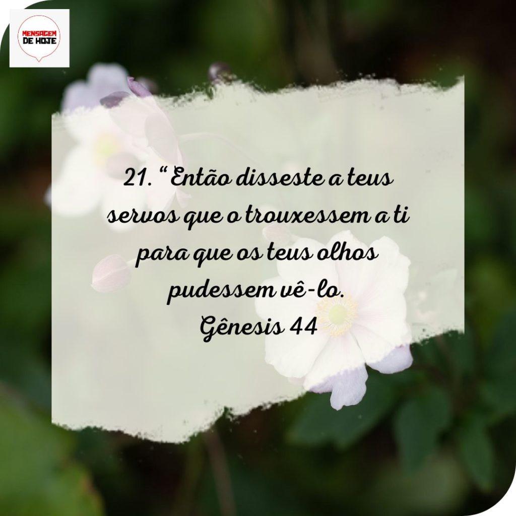 Salmos 17 de Julho de 2022 15