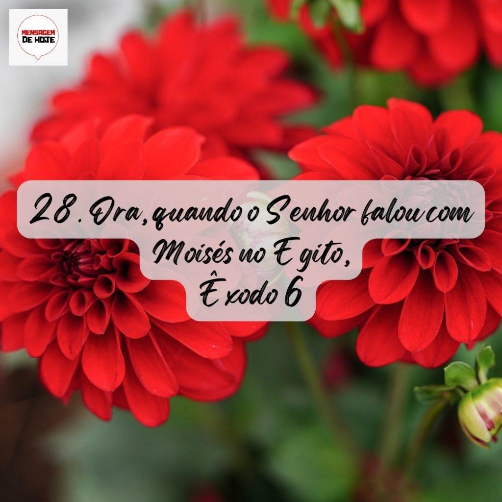 Salmos 28 de Julho de 2022 13
