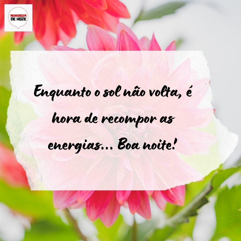 Boa Noite 08 de Agosto de 2022 13