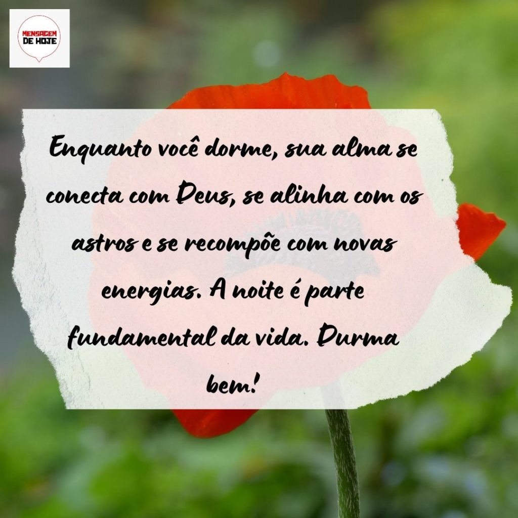Boa Noite 08 de Agosto de 2022 1