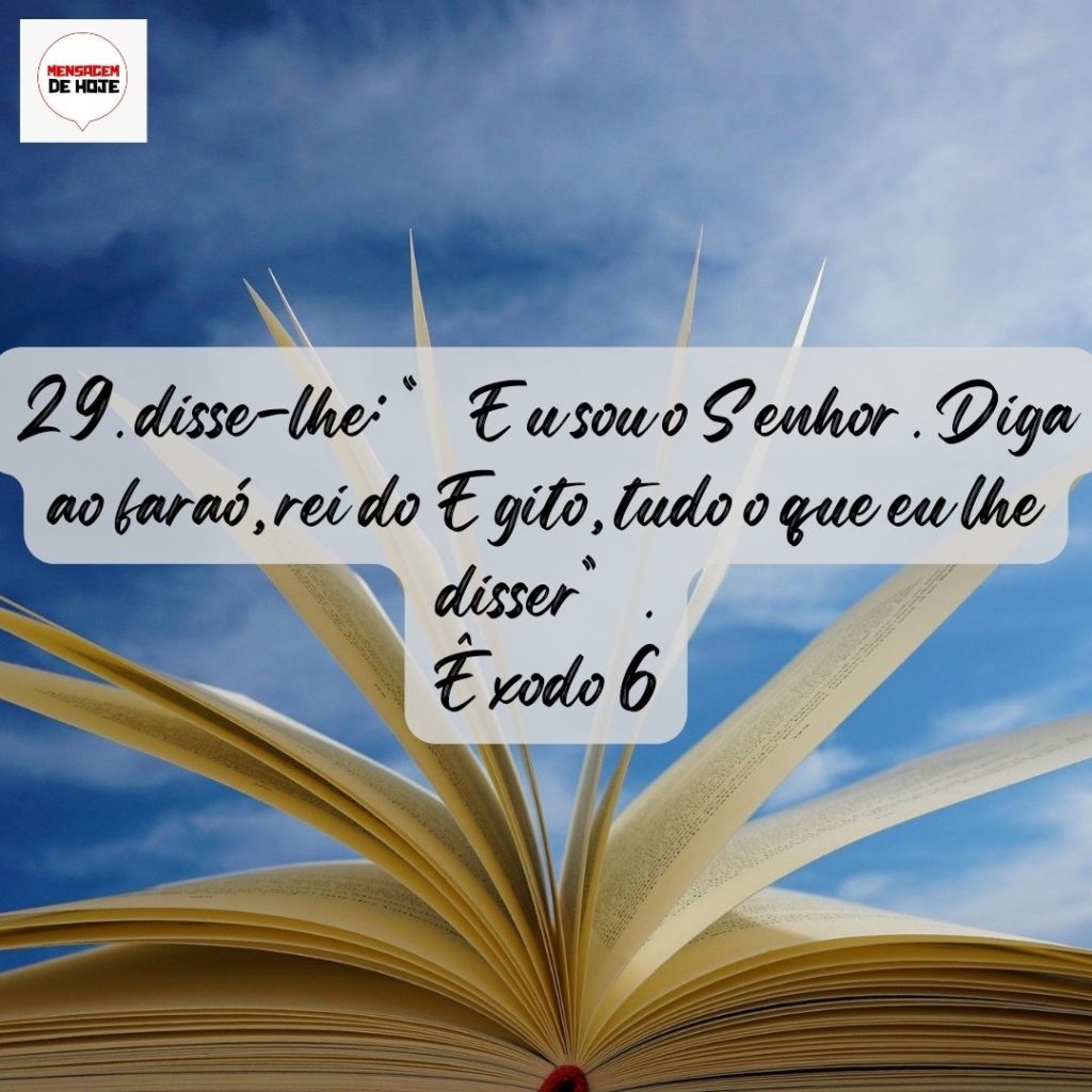 Salmos 28 de Julho de 2022 15