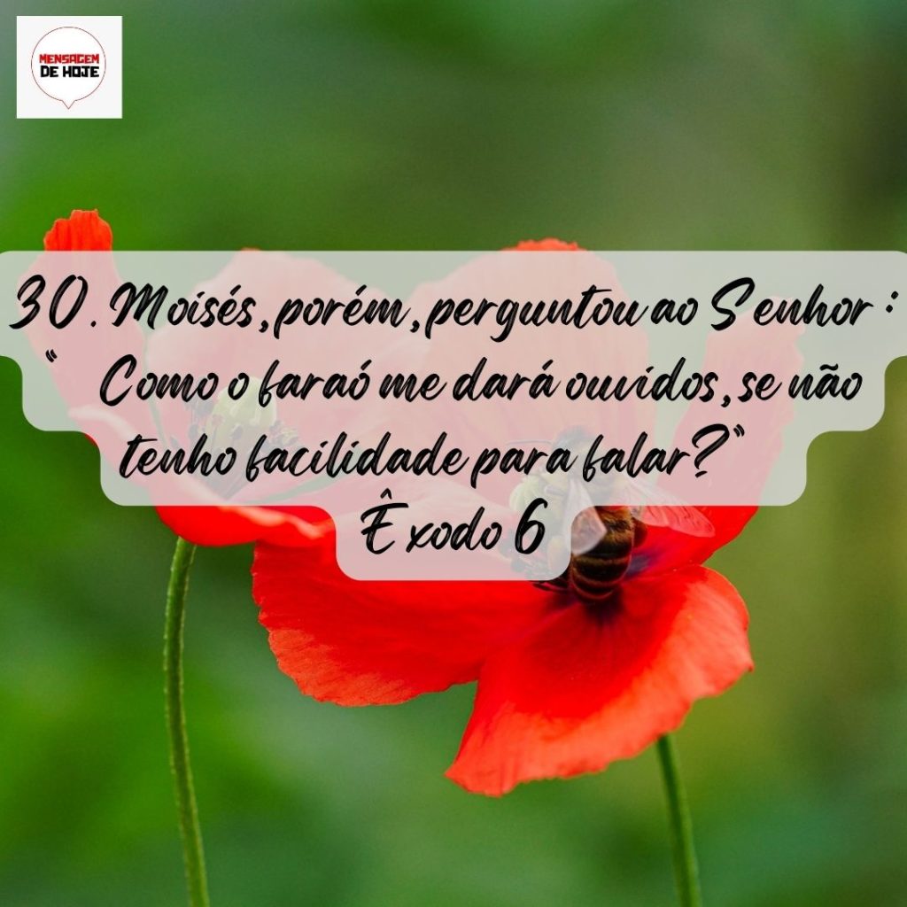 Salmos 28 de Julho de 2022 17