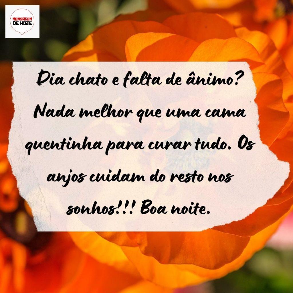 Boa Noite 10 de Agosto de 2022 3