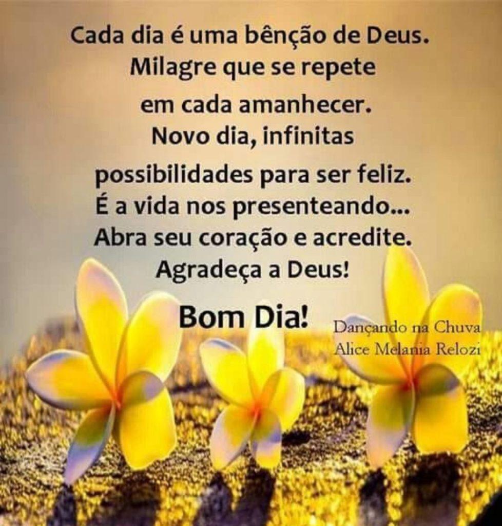 Bom Dia 07 de Agosto de 2022 25