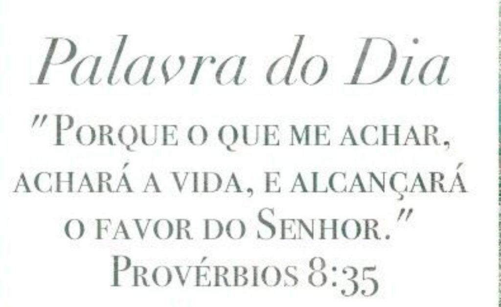 Bom Dia 10 de Agosto de 2022 29