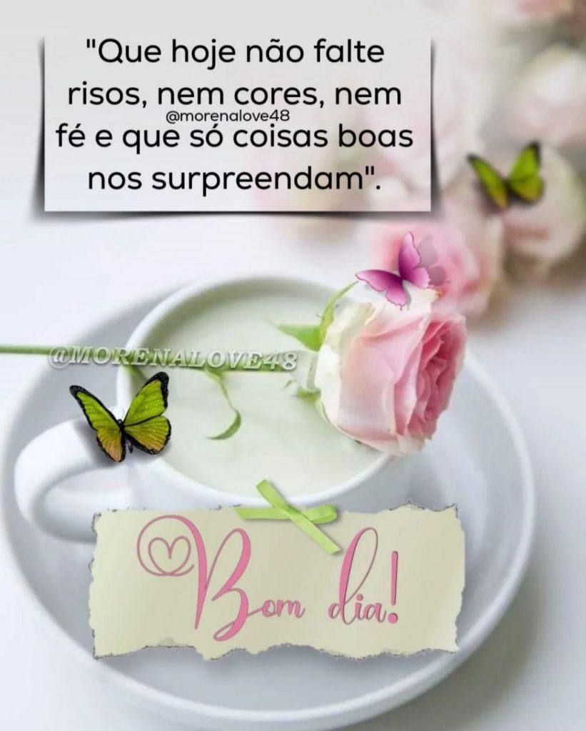 Bom Dia 17 de Julho de 2022 31