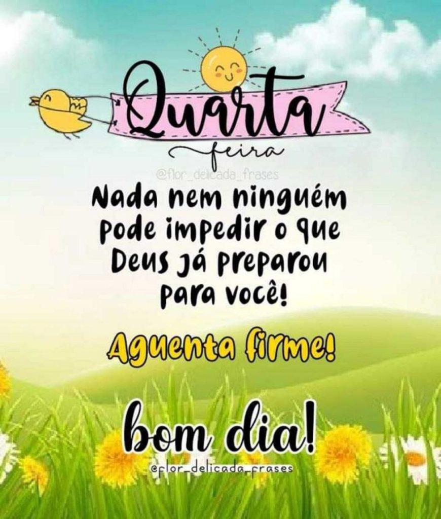 Bom Dia 26 de Julho de 2022 31