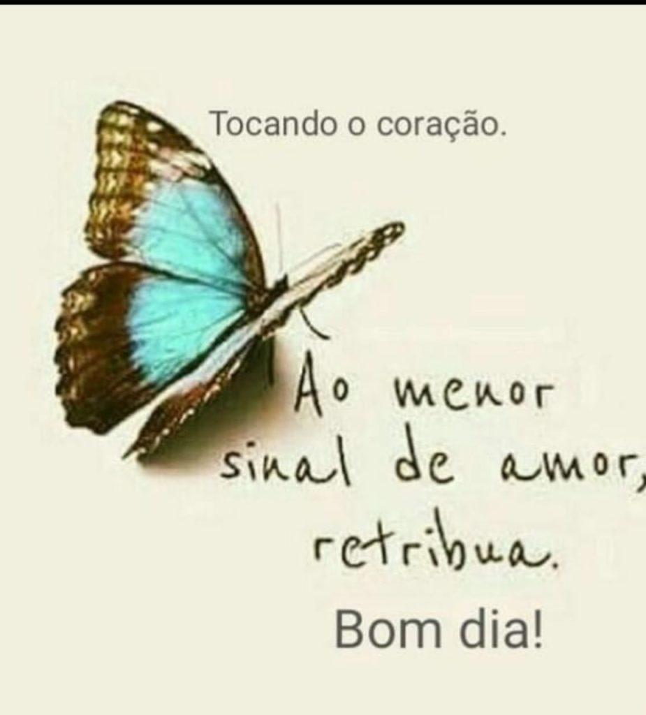 Bom Dia 11 de Julho de 2022 37
