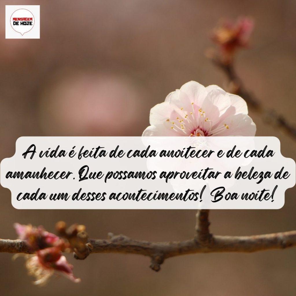 Boa Noite 12 de Agosto de 2022 1