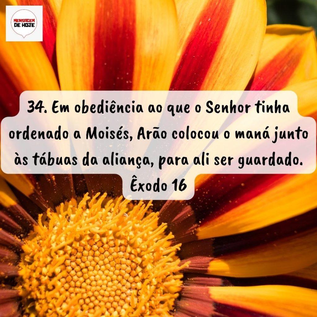 Salmos 01 de Setembro de 2022 13