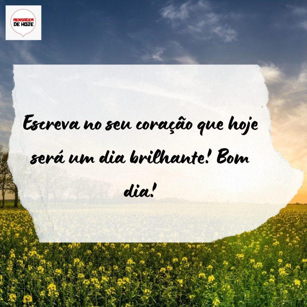 Bom Dia 21 de Agosto de 2022 19