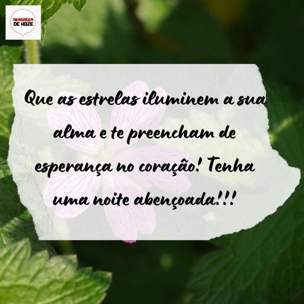 Boa Noite 19 de Agosto de 2022 1