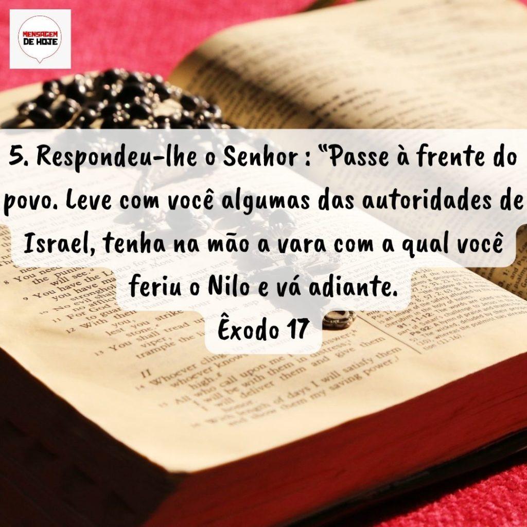 Salmos 02 de Setembro de 2022 11