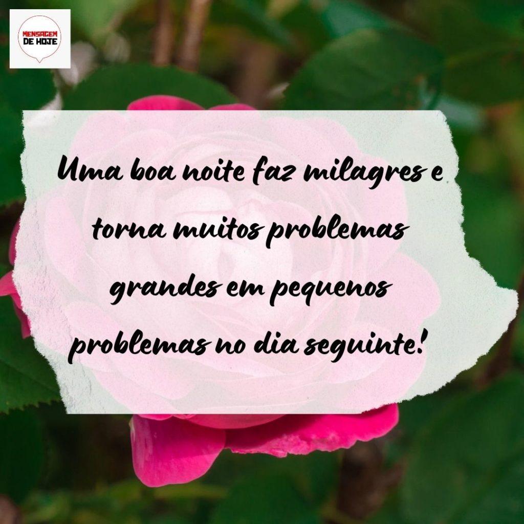 Boa Noite 19 de Agosto de 2022 5