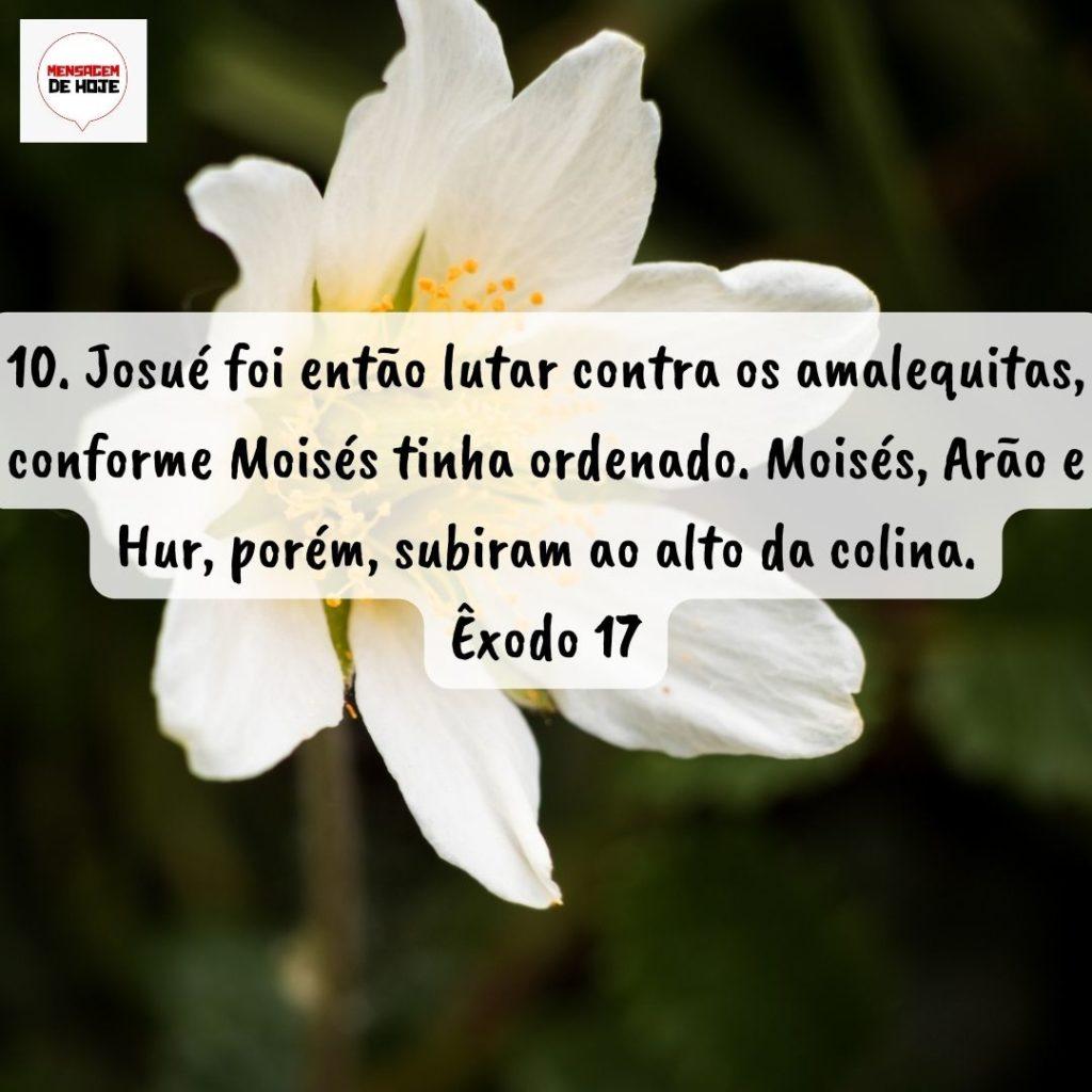 Salmos 02 de Setembro de 2022 1