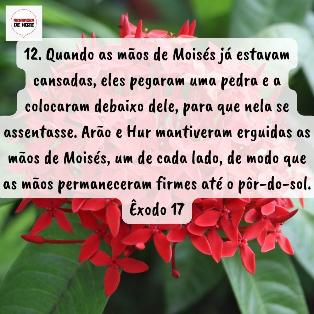 Salmos 02 de Setembro de 2022 5