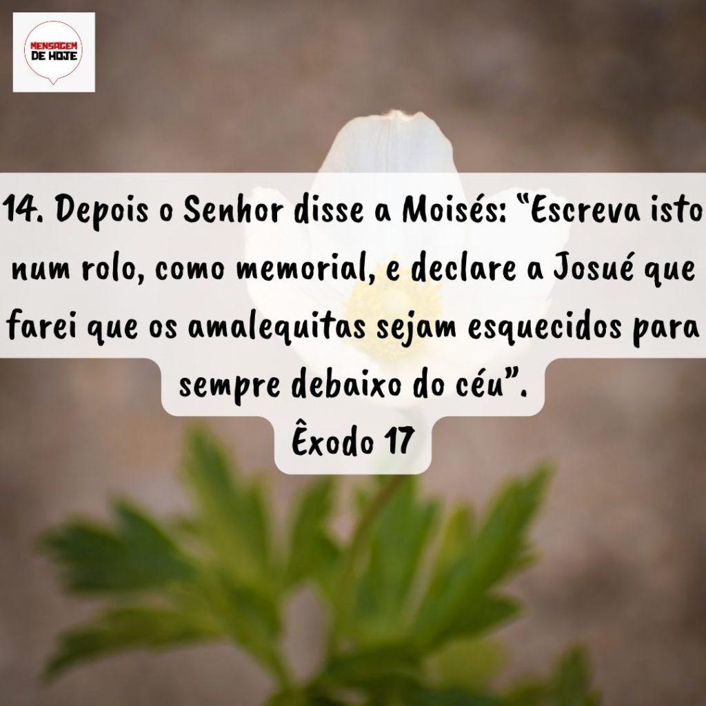 Salmos 03 de Setembro de 2022 5