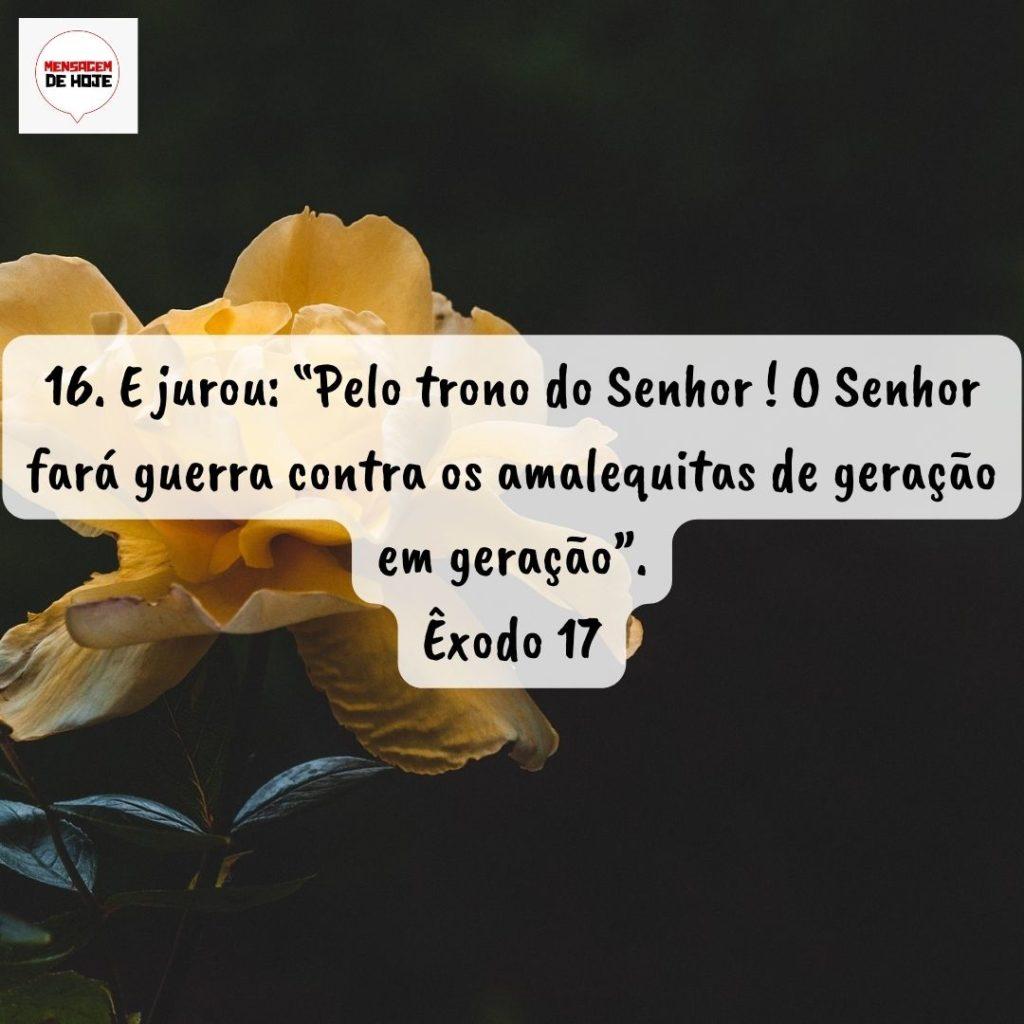Salmos 03 de Setembro de 2022 9