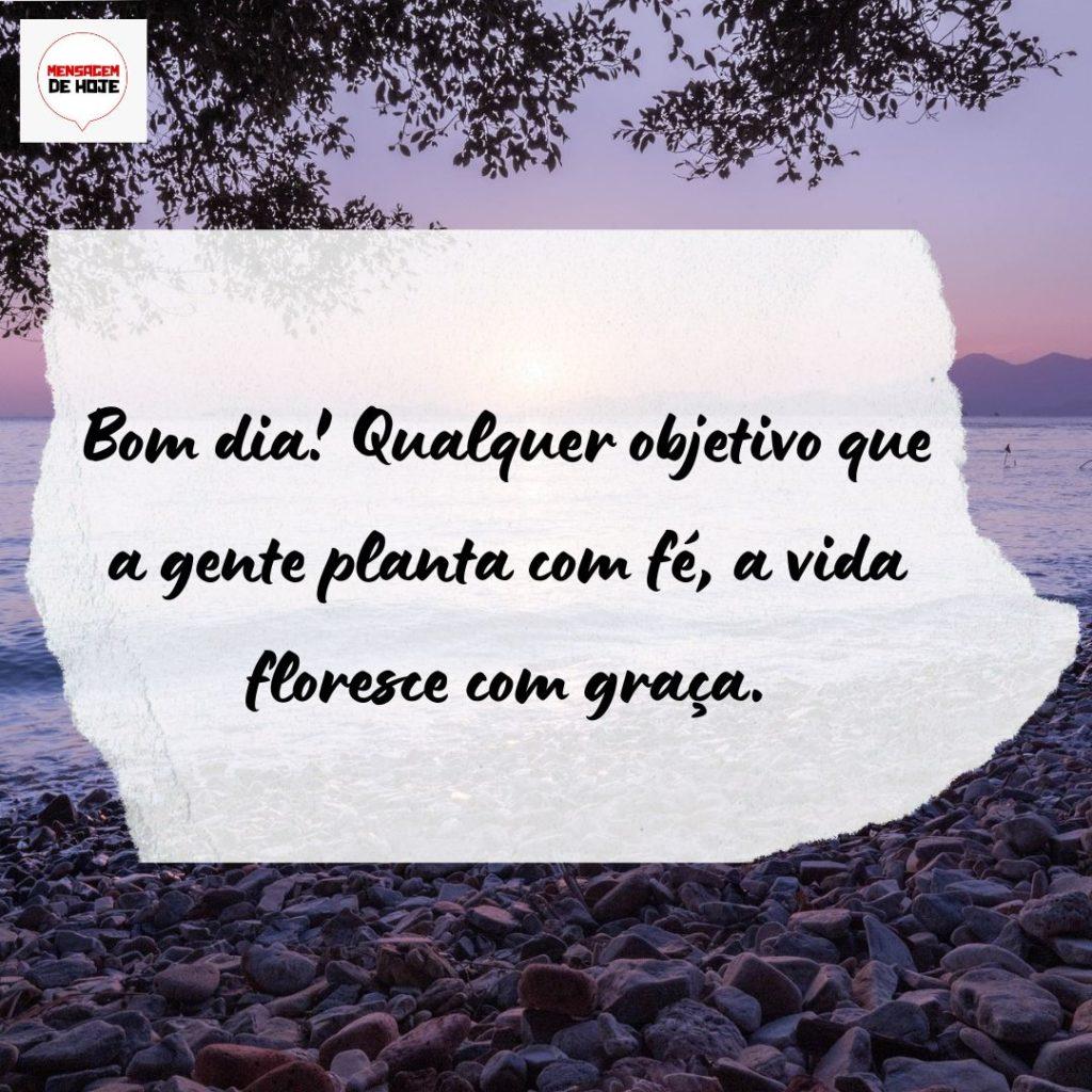 Bom Dia 01 de Setembro de 2022 13