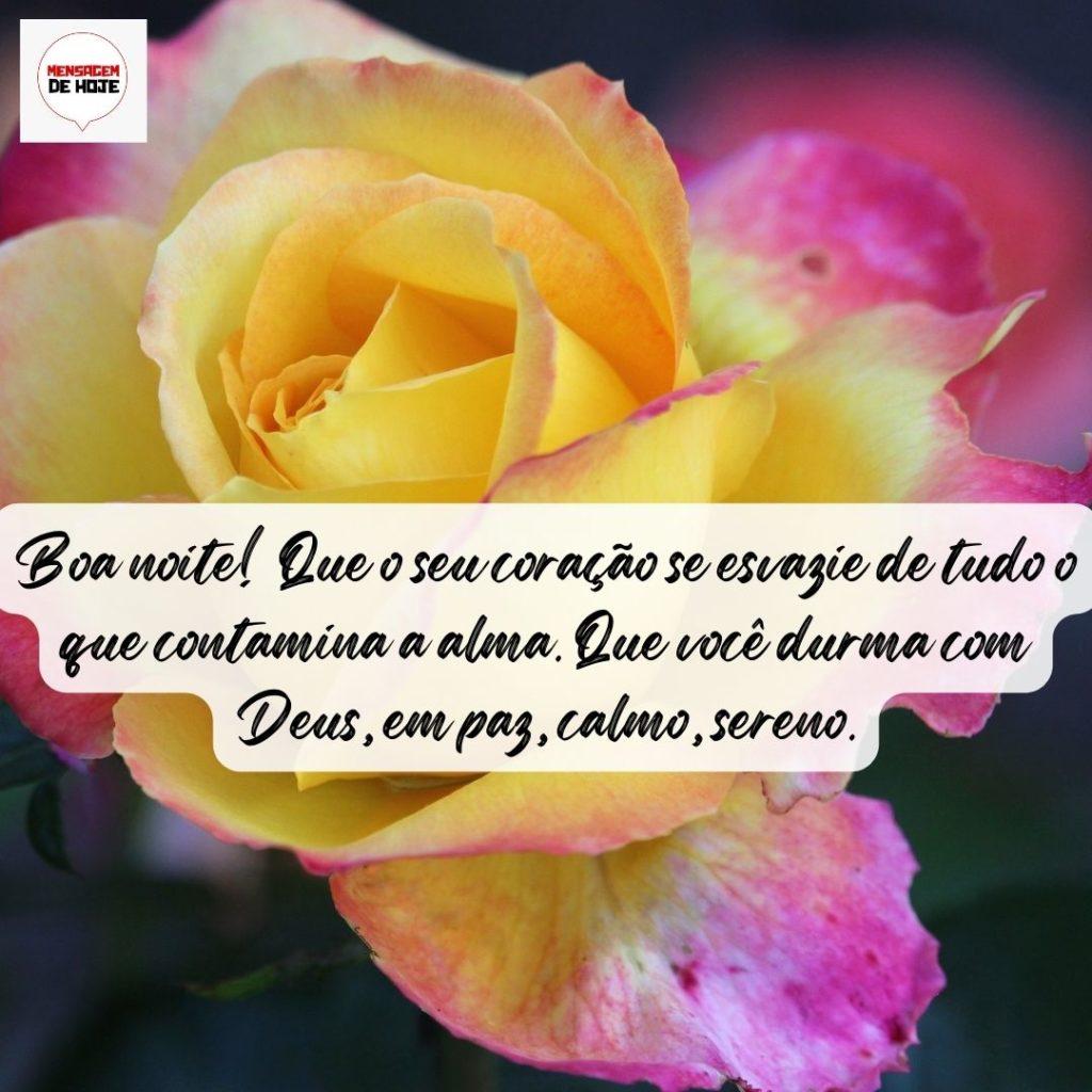 Boa Noite 21 de Agosto de 2022 13