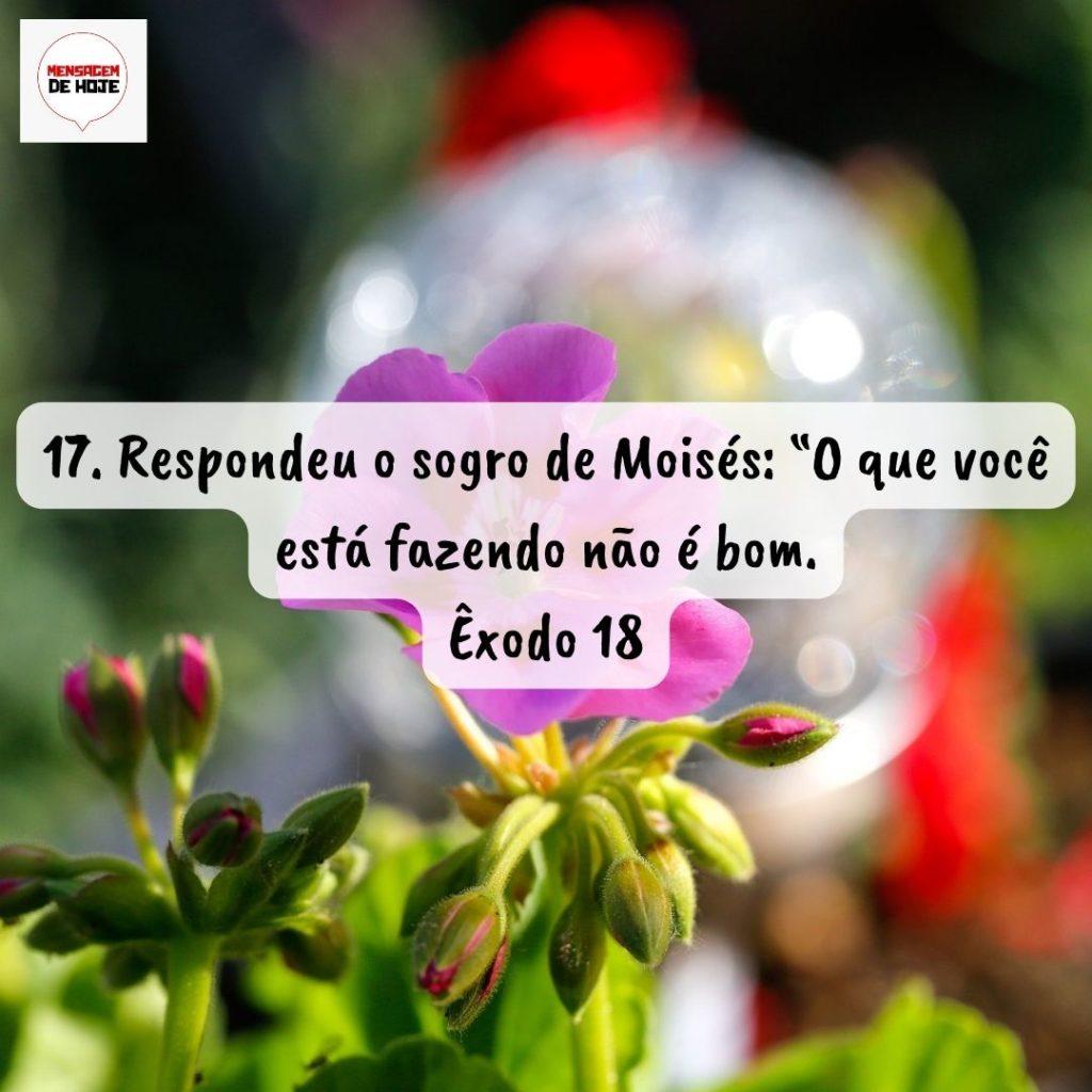 Salmos 04 de Setembro de 2022 3