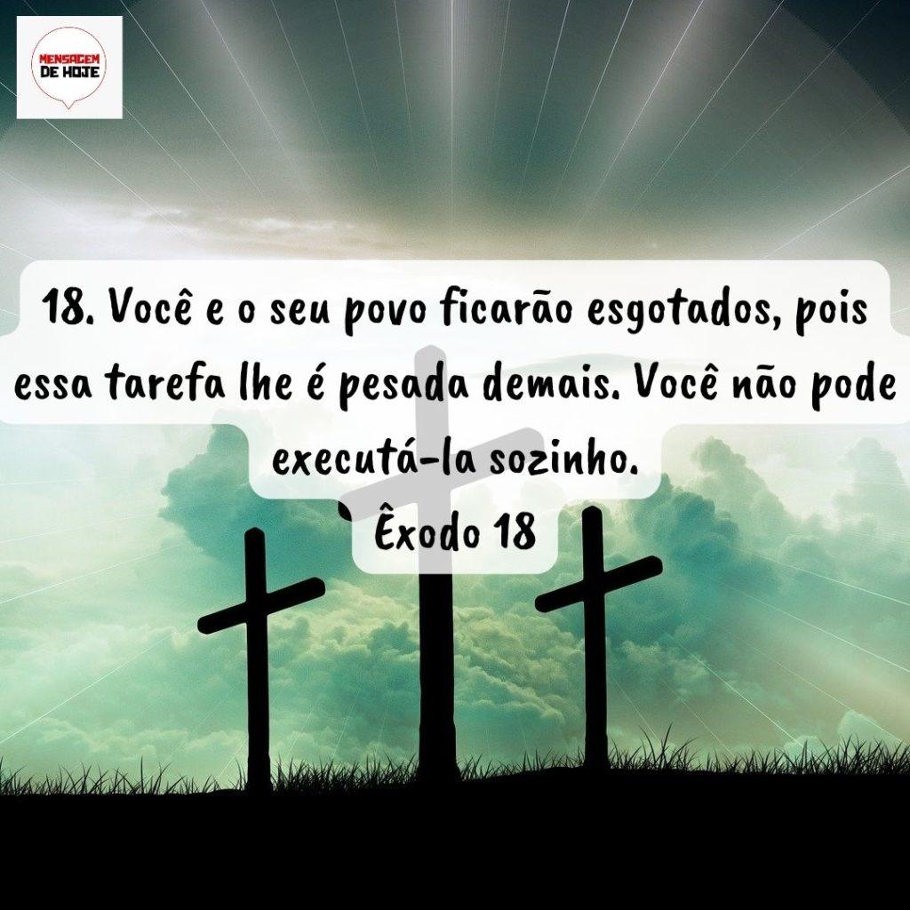 Salmos 05 de Setembro de 2022 5