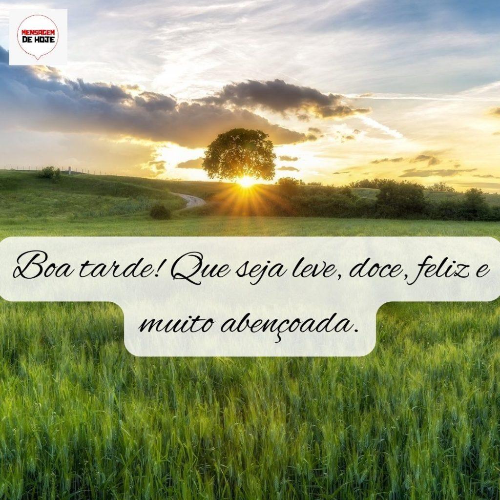 Boa Tarde 04 de Setembro de 2022 11