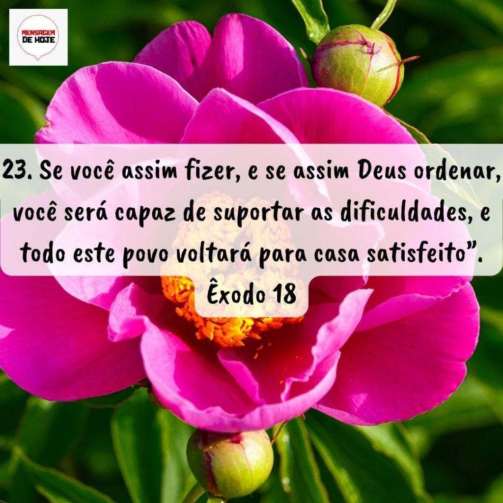 Salmos 05 de Setembro de 2022 15