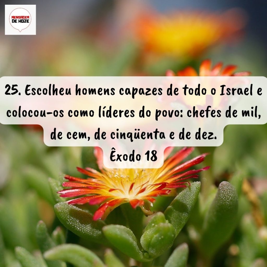 Salmos 05 de Setembro de 2022 39