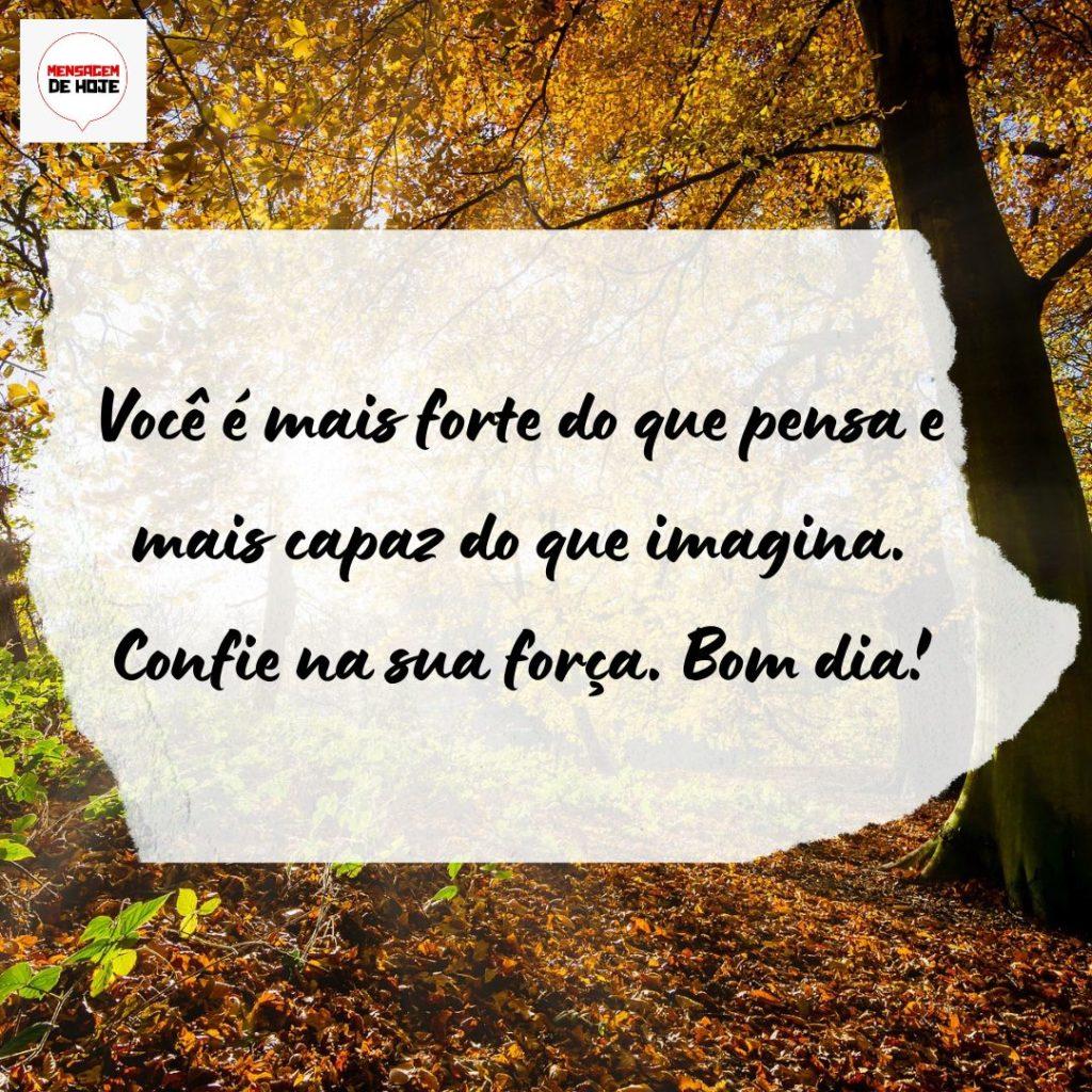 Bom Dia 03 de Setembro de 2022 19