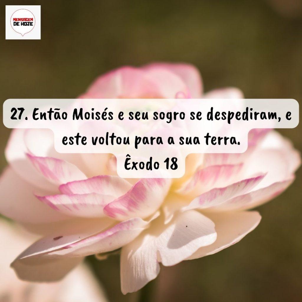 Salmos 05 de Setembro de 2022 3