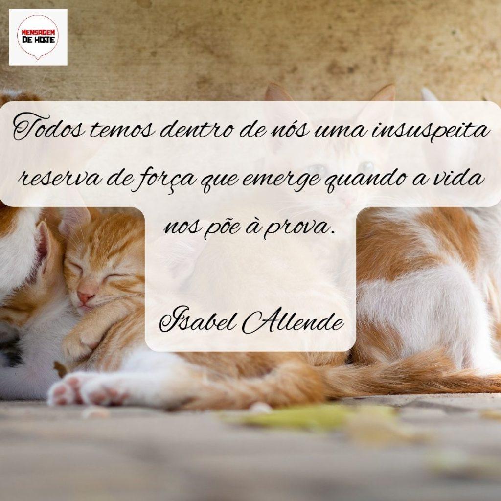 Pensamentos 06 de Setembro de 2022 15